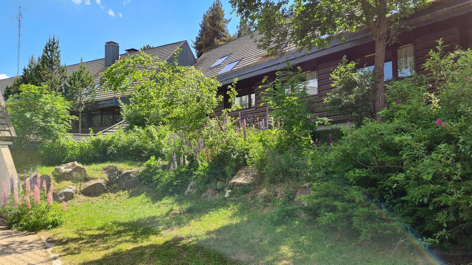 Le Chalet Du Ticou Bolquere Exterior photo
